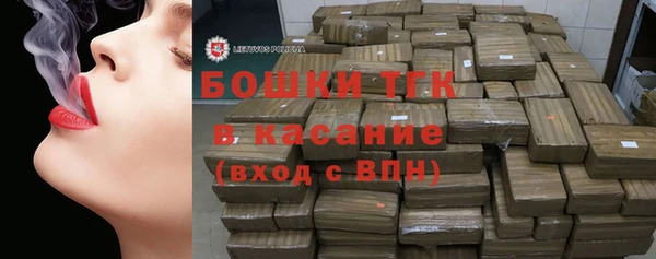 ПСИЛОЦИБИНОВЫЕ ГРИБЫ Алзамай